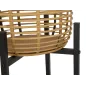 P/VASI RATTAN PARA CM 38x90-33x60